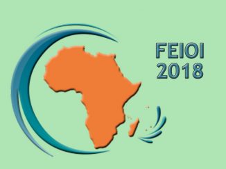 Conquérir Le Marché Africain : Le Sujet Phare Du FEIOI