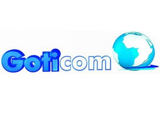 TIC : Goticom Dénote L’exportation Massive Des Informaticiens